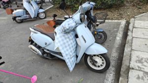 二手QJMOTOR阳光壹米