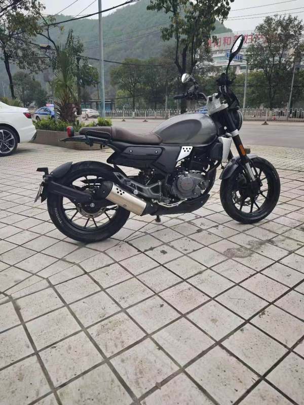 二手赛科龙RE250