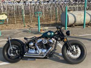 二手柴特博格 V250 软尾版