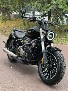 二手奔达Rock300 灰石