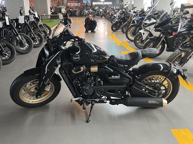 二手赛科龙RA600