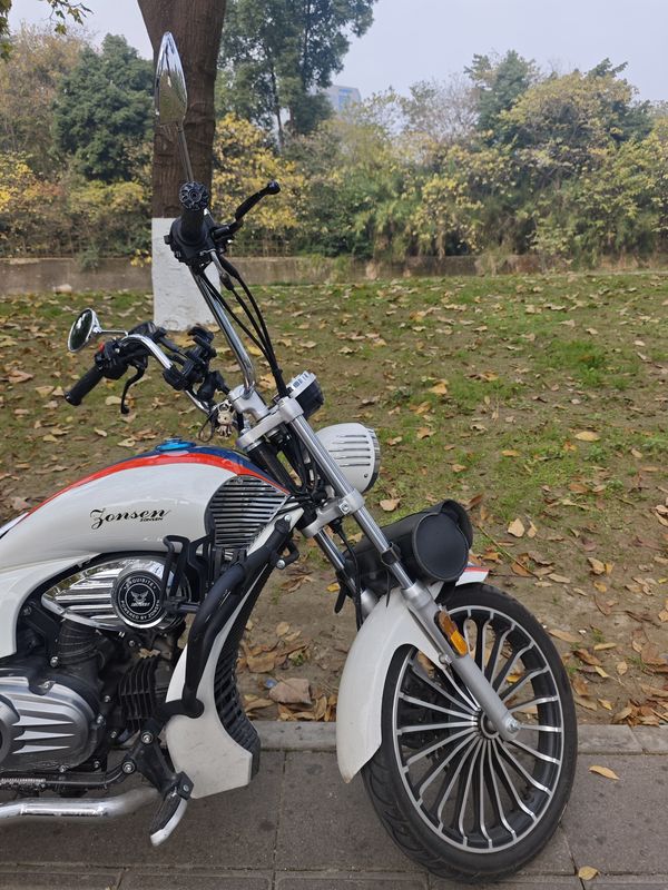 二手宗申优米Yomi