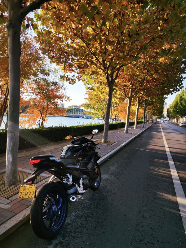 二手飞肯FKMFK 3GP