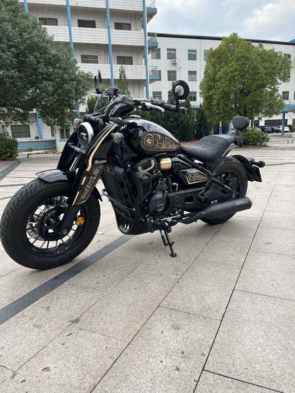 二手赛科龙RA600