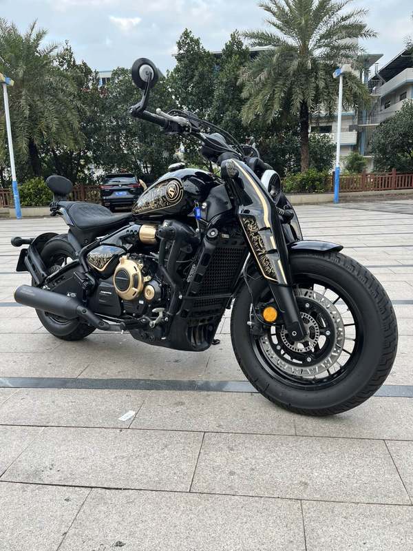 二手赛科龙RA600