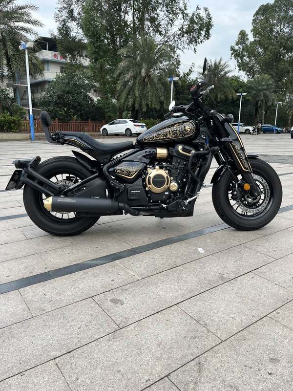 二手赛科龙RA600