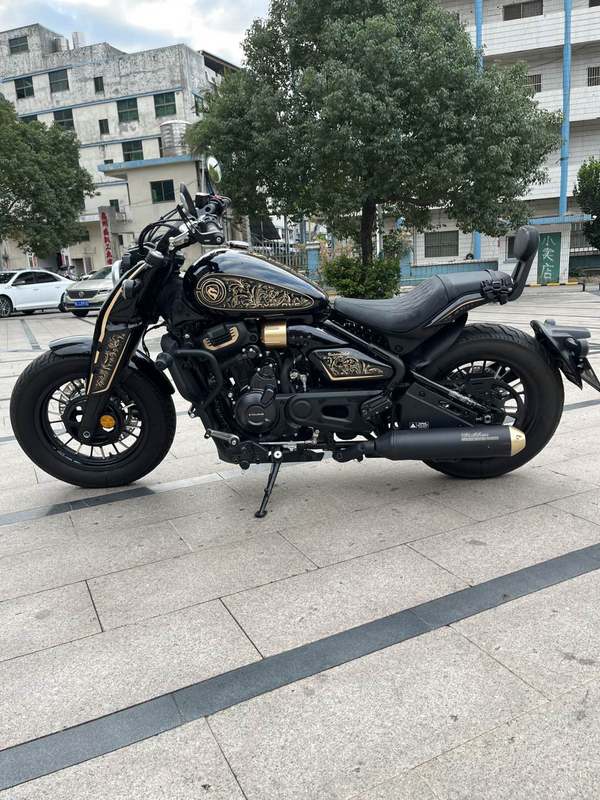 二手赛科龙RA600