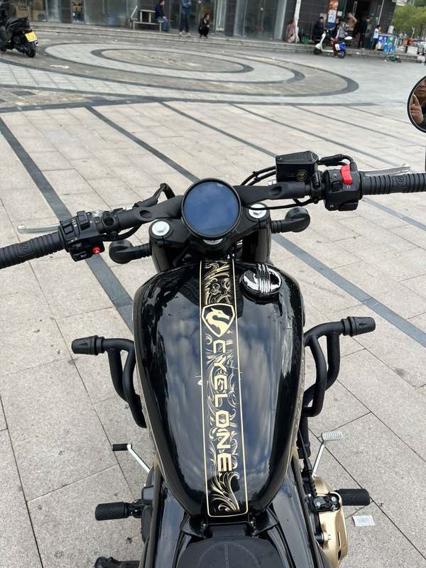 二手赛科龙RA600