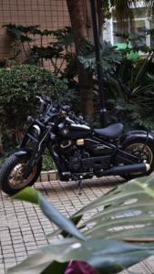 二手赛科龙RA600