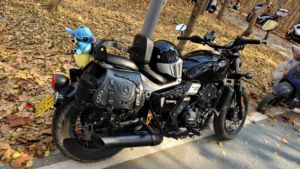 二手长江Bobbie Ⅱ 450S