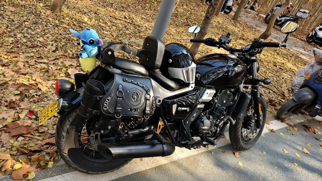 二手长江Bobbie Ⅱ 450S