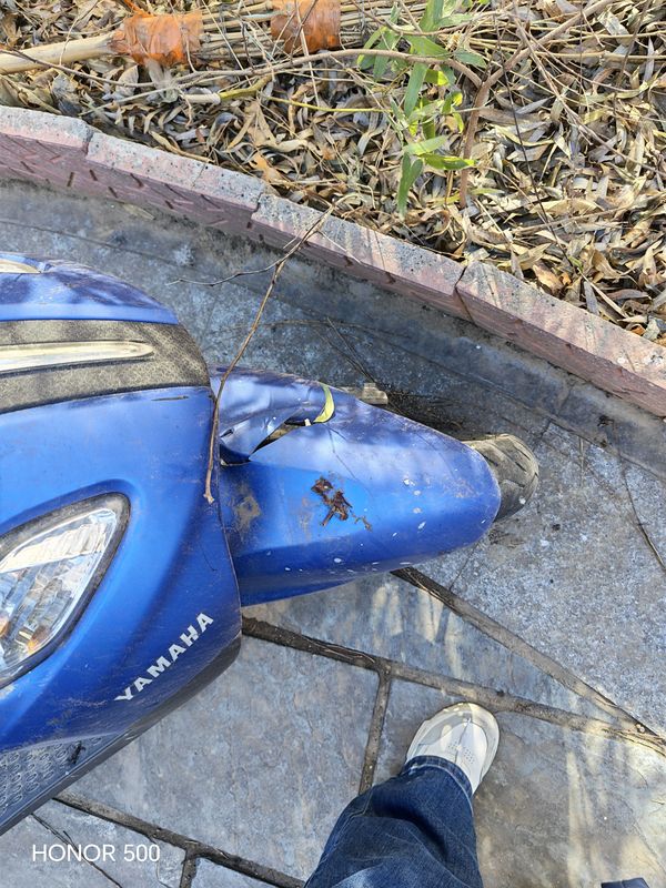 二手建设雅马哈巧格i