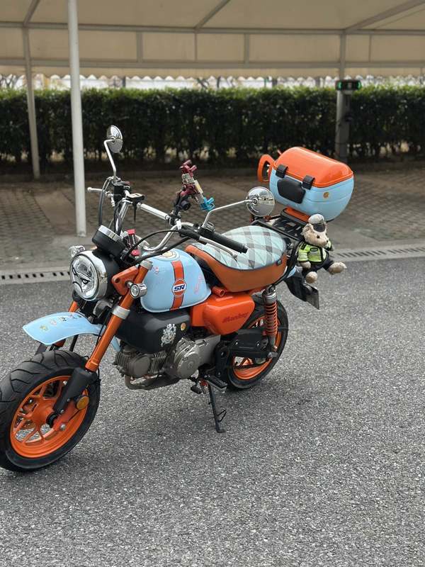 二手斯托纳猿猴