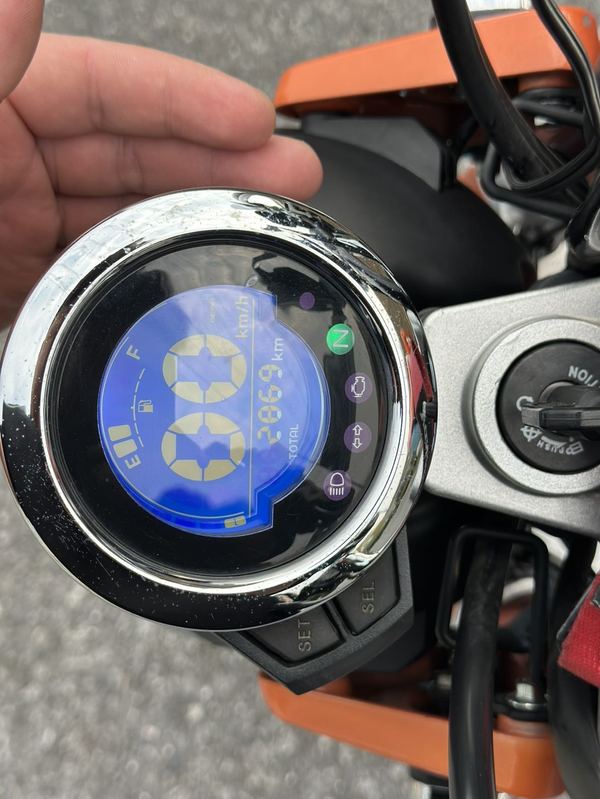 二手斯托纳猿猴