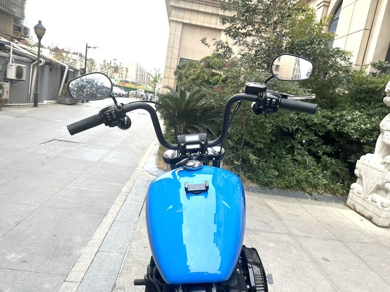 二手哈雷戴维森街霸 Street Bob