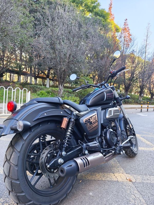 二手赛科龙RA401