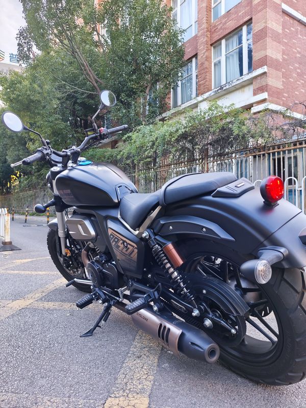 二手赛科龙RA401