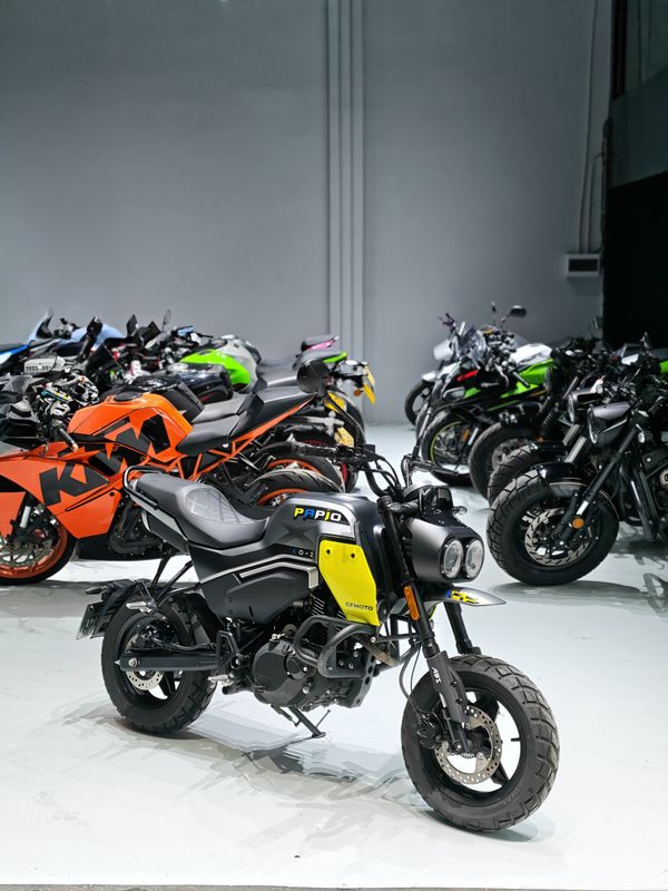 二手春风XO狒狒