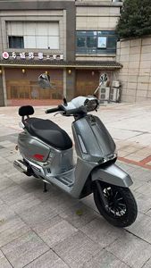 二手QJMOTOR阳光迪诺