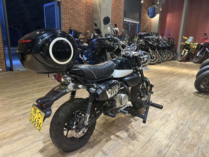 二手斯托纳猿猴