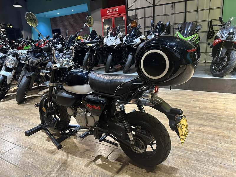 二手斯托纳猿猴