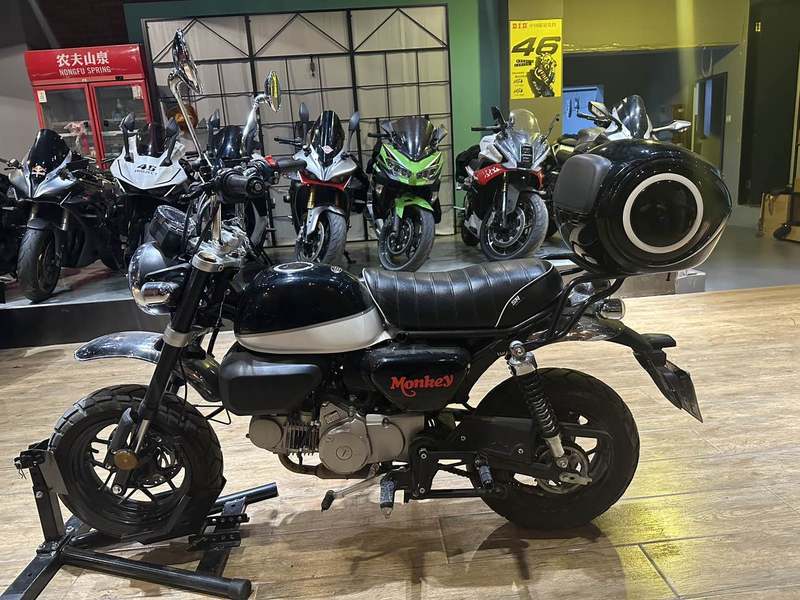 二手斯托纳猿猴