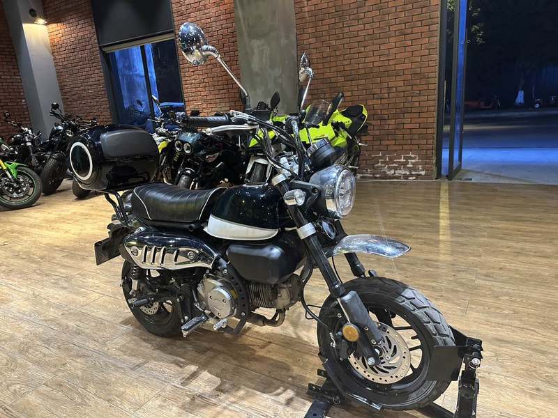 二手斯托纳猿猴