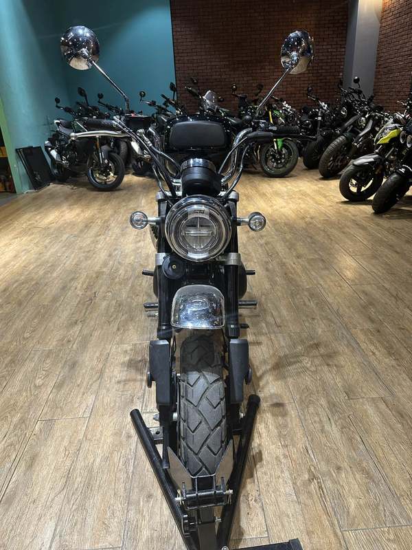 二手斯托纳猿猴