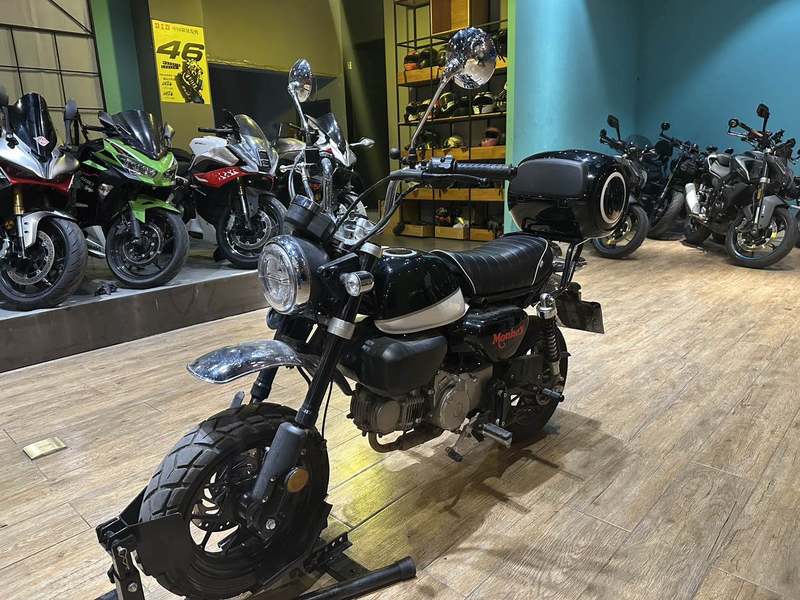 二手斯托纳猿猴