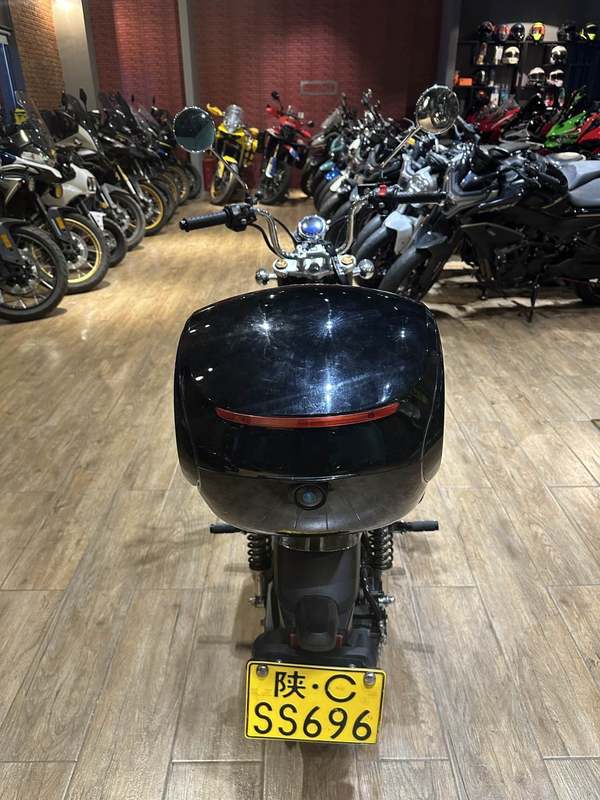 二手斯托纳猿猴