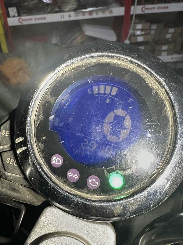 二手斯托纳猿猴