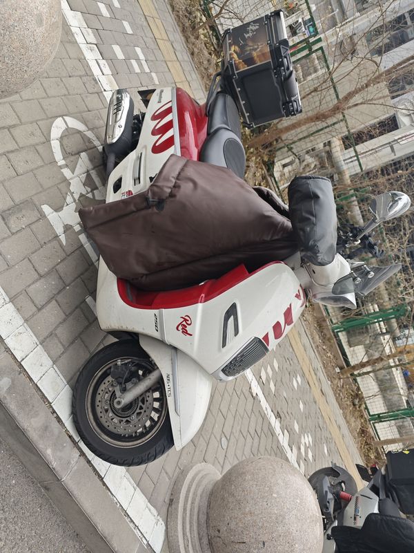 二手南方梦拉丽莎 飞戈