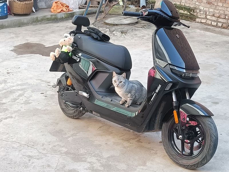 二手九号远航家M