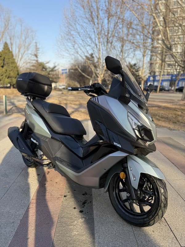 二手三阳巡弋 Cruisym250