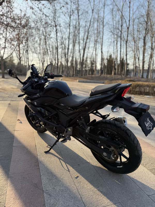 二手豪爵铃木GSX250R