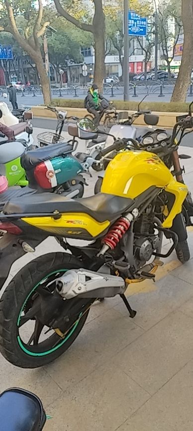 二手钱江蓝宝龙QJ150-17A