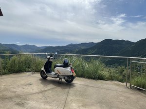 二手ROYAL ALLOYGT150