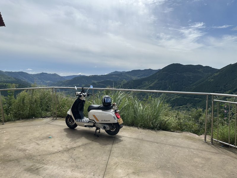 二手ROYAL ALLOYGT150