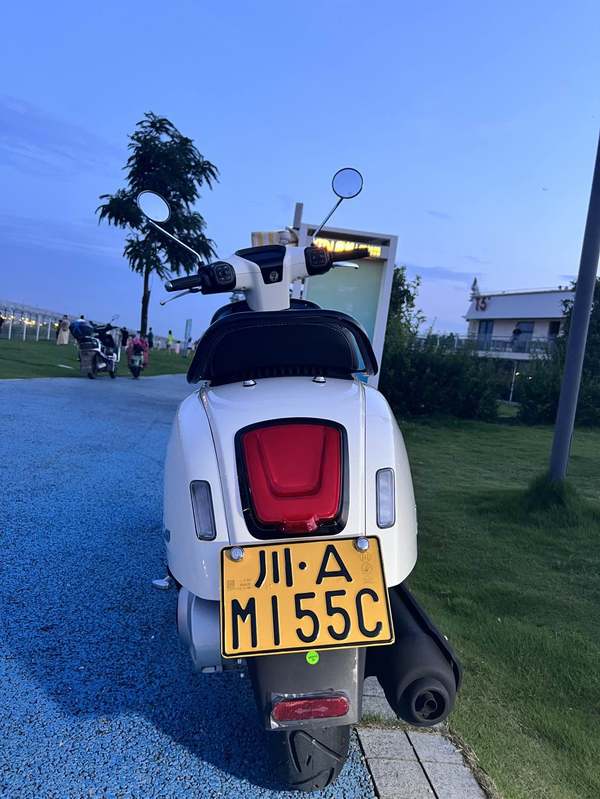 二手ROYAL ALLOYGT150