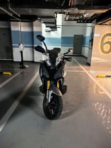 二手三阳剑齿虎 ADXTG