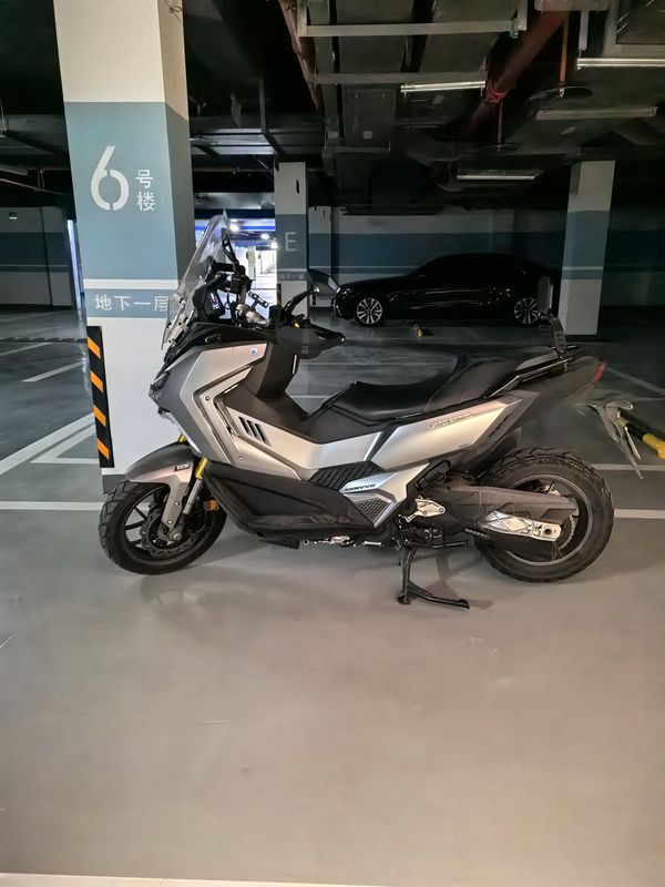 二手三阳剑齿虎 ADXTG