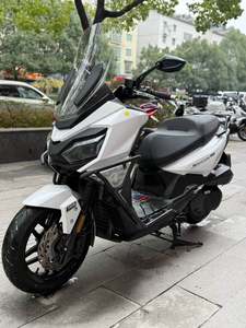 二手三阳行者 Joyride300