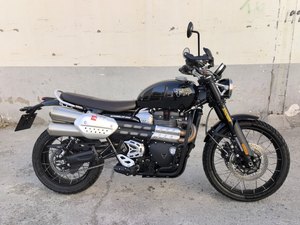 二手凯旋Scrambler 1200