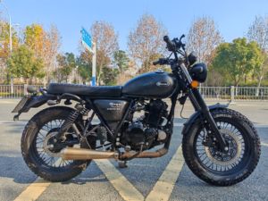 二手轻骑U侠 大脚攀爬者