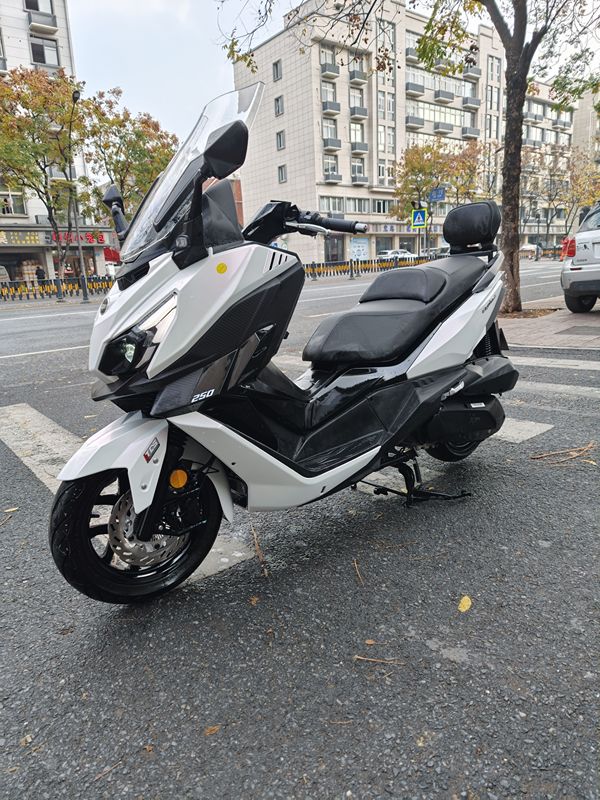 二手三阳巡弋 Cruisym250