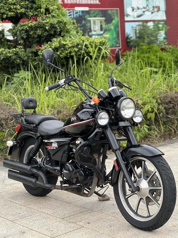 二手双狮SS1000DT-2