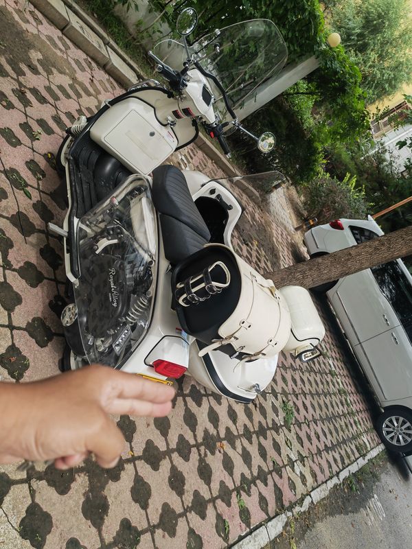 二手ROYAL ALLOYGP250 Sidecar