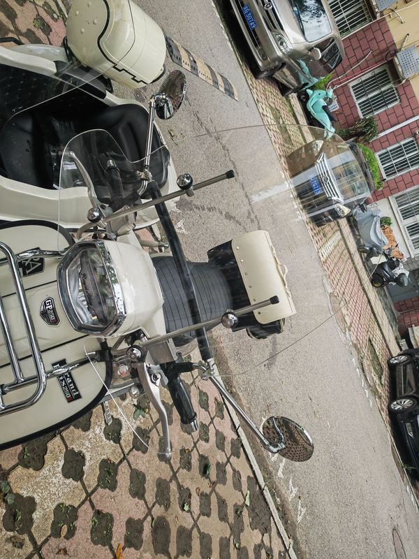 二手ROYAL ALLOYGP250 Sidecar