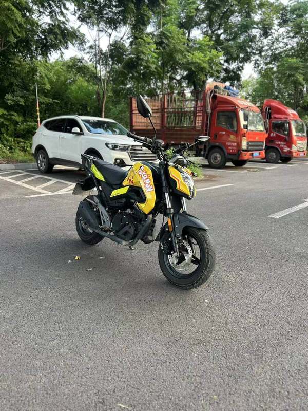 二手春风ST狒狒