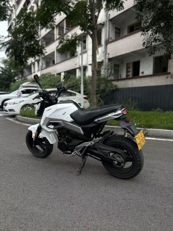 二手春风ST狒狒